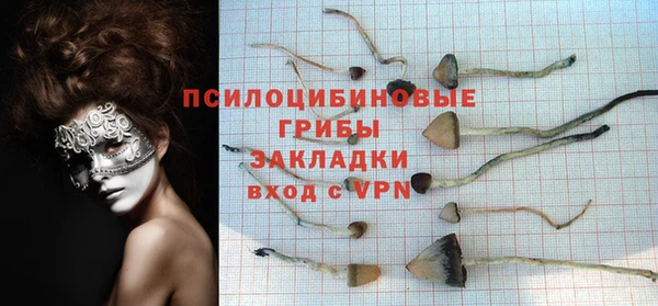 кристаллы Белокуриха