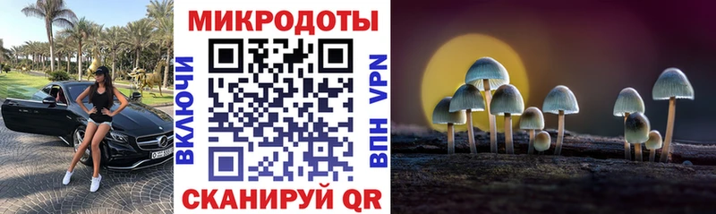 OMG маркетплейс Высоцк Псилоцибиновые грибы Psilocybine cubensis